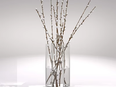 Clear Glass Vase With White Bud Branches In Simple White Setting 3d model