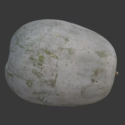 Fresh Organic Wax Gourd Vegetable With White Skin And Green Spots 3d model