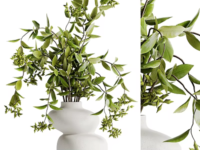 Lush Green Potted Plant With Fresh Leaves And Small Flowers In White Vase 3d model