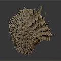 Biological Organ Structure With Hair Like Spines And Textured Surface
