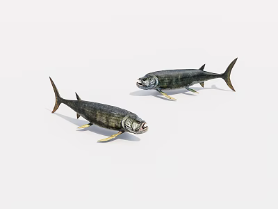 Realistic Aquatic Animal Two Dark Colored Fish With Fins On White Background 3d model