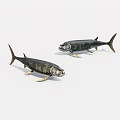 Realistic Aquatic Animal Two Dark Colored Fish With Fins On White Background