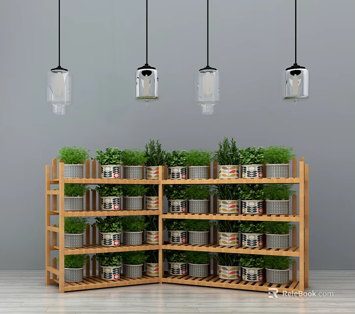 Multi Tiered Wooden Shelf With Potted Plants And Hanging Glass Containers 3d model 