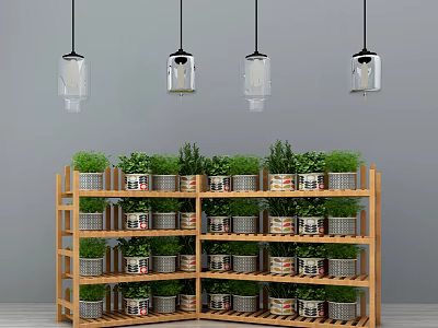 Multi Tiered Wooden Shelf With Potted Plants And Hanging Glass Containers 3d model