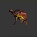 Colorful Detailed Beetle Sculpture With Vibrant Red Yellow Body And Glossy Legs