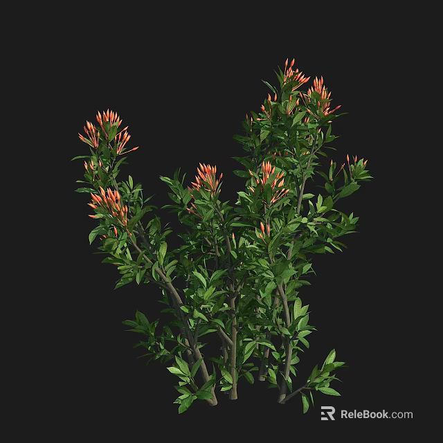Lush Green Leafy Shrub With Vibrant Orange Flowers And Slender Branches 3d model 