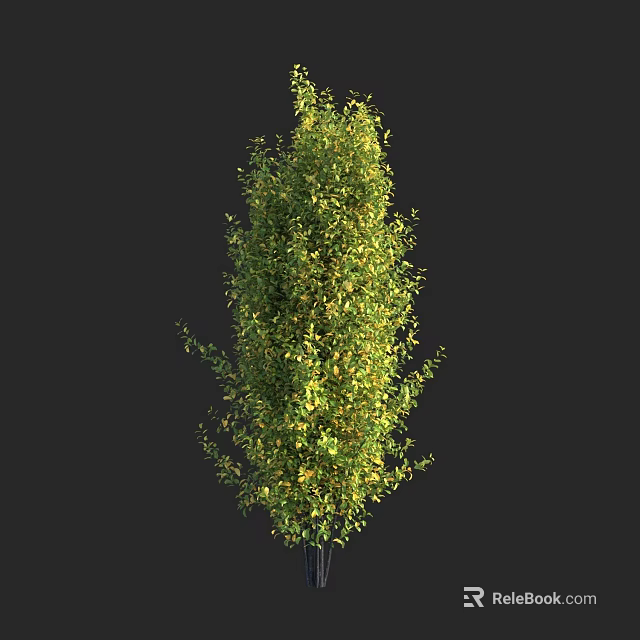 Tall Vibrant Green Tree With Lush Foliage And Yellow Leaf Accents In Black Background 3d model 
