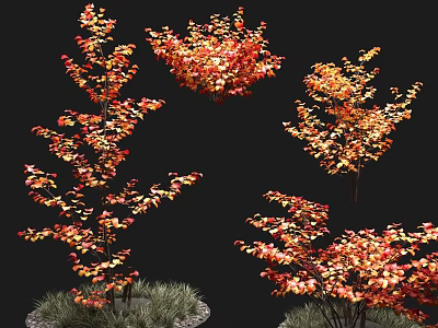 Ornamental Trees with Vibrant Red and Orange Leaves and Green Grass Base 3d model