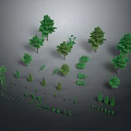Green Plant 3D Models with Various Sizes Shapes Trees and Shrubs