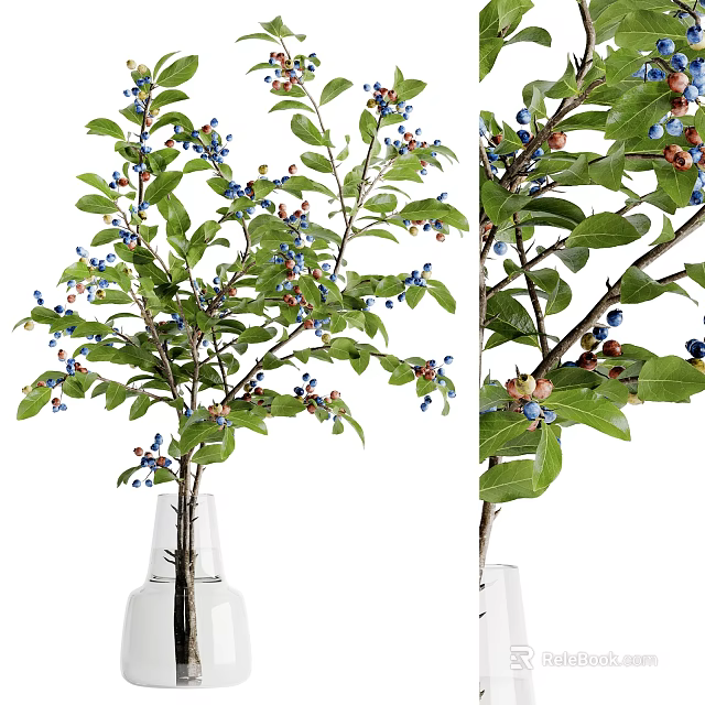 Decorative Vase With Natural Branches Green Leaves And Blue Berries For Home Decor 3d model 