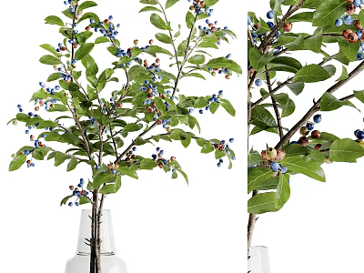 Decorative Vase With Natural Branches Green Leaves And Blue Berries For Home Decor 3d model