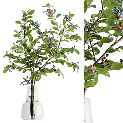 Decorative Vase With Natural Branches Green Leaves And Blue Berries For Home Decor 3d model