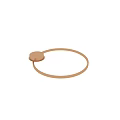Modern Circular Ceiling Light With Golden Frame And White Trim Design