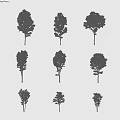 Varied Arbor Tree Forms Display Different Crown Shapes With People For Size Comparison 3d model
