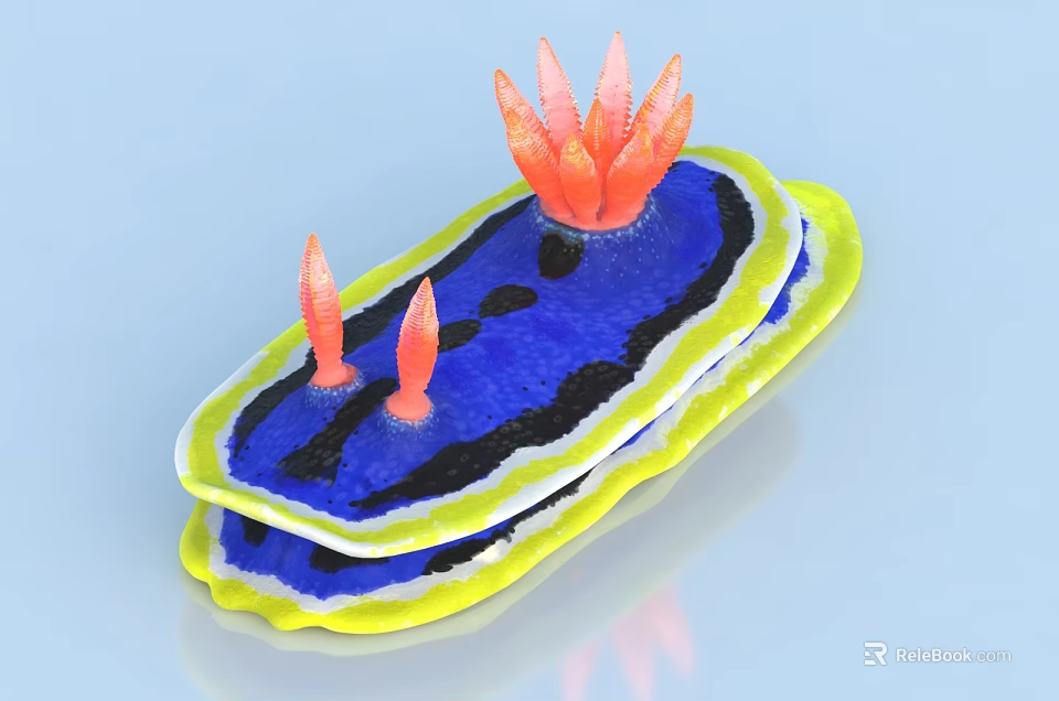 Vibrant Aquatic Sea Slug With Blue Body Yellow Edges And Orange Appendages 3d model 