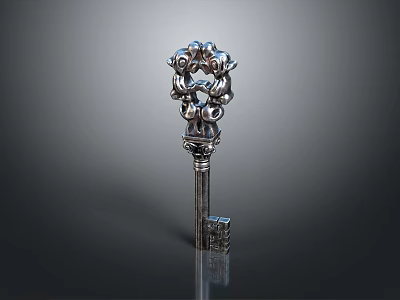 Shiny Ornate Silver Decorative Metal Key With Intricate Top Design 3d model