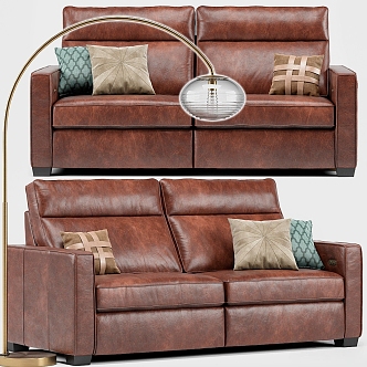 Leisure Sofa Combination Leisure Sofa Living Room Sofa Double Sofa Pillow Home Furniture Simple Leather Sofa Floor Lamp 3d model