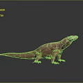 Realistic Komodo Dragon Standing On Reflective Surface Gray Background Detailed Skin Texture 3D Render 3d model