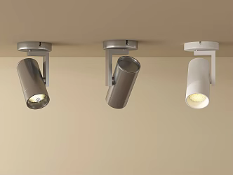 Modern Downlight Spotlight 3d model