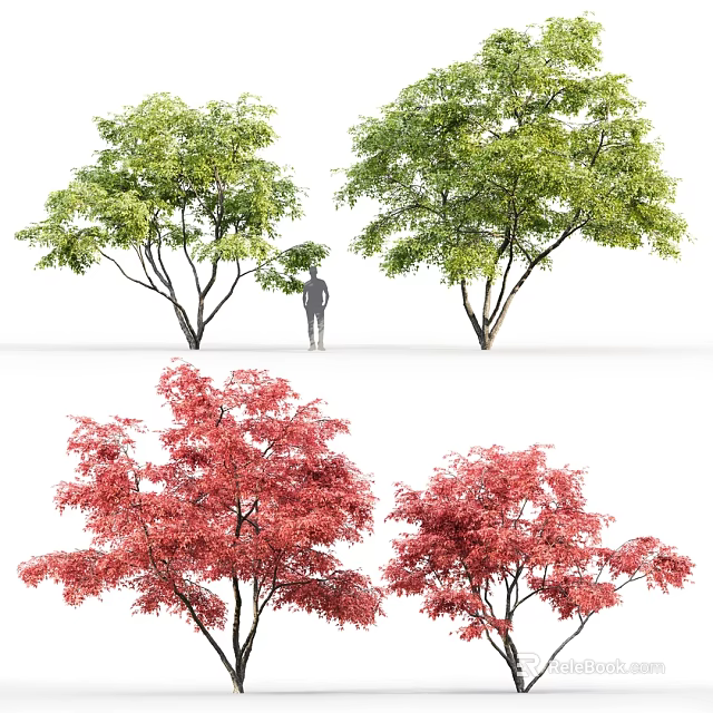 Vibrant Arbor Trees With Green And Red Leaves For Landscape Design 3d model 