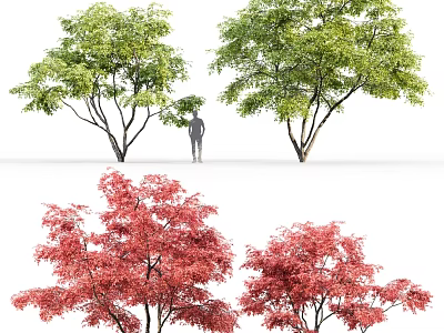 Vibrant Arbor Trees With Green And Red Leaves For Landscape Design 3d model
