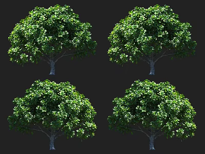 Four Lush Arbor Trees With Dense Green Foliage And Natural Growth 3d model