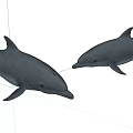 Two Realistic Gray Dolphins Aquatic Animals Swimming in White Background