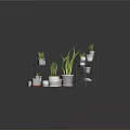 Indoor Potted Plants On Tiered Shelves With White Grid Planters And Black Stands