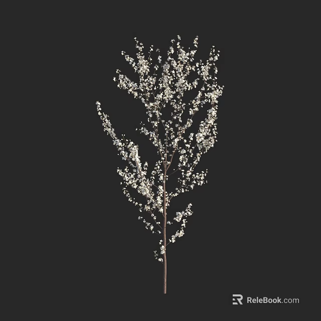 Elegant Tree Branches With Delicate White Flowers Against Dark Background 3d model
