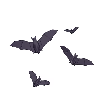 Four Flying Black Bats on Clean White Background in Simple Flight Scene 3d model