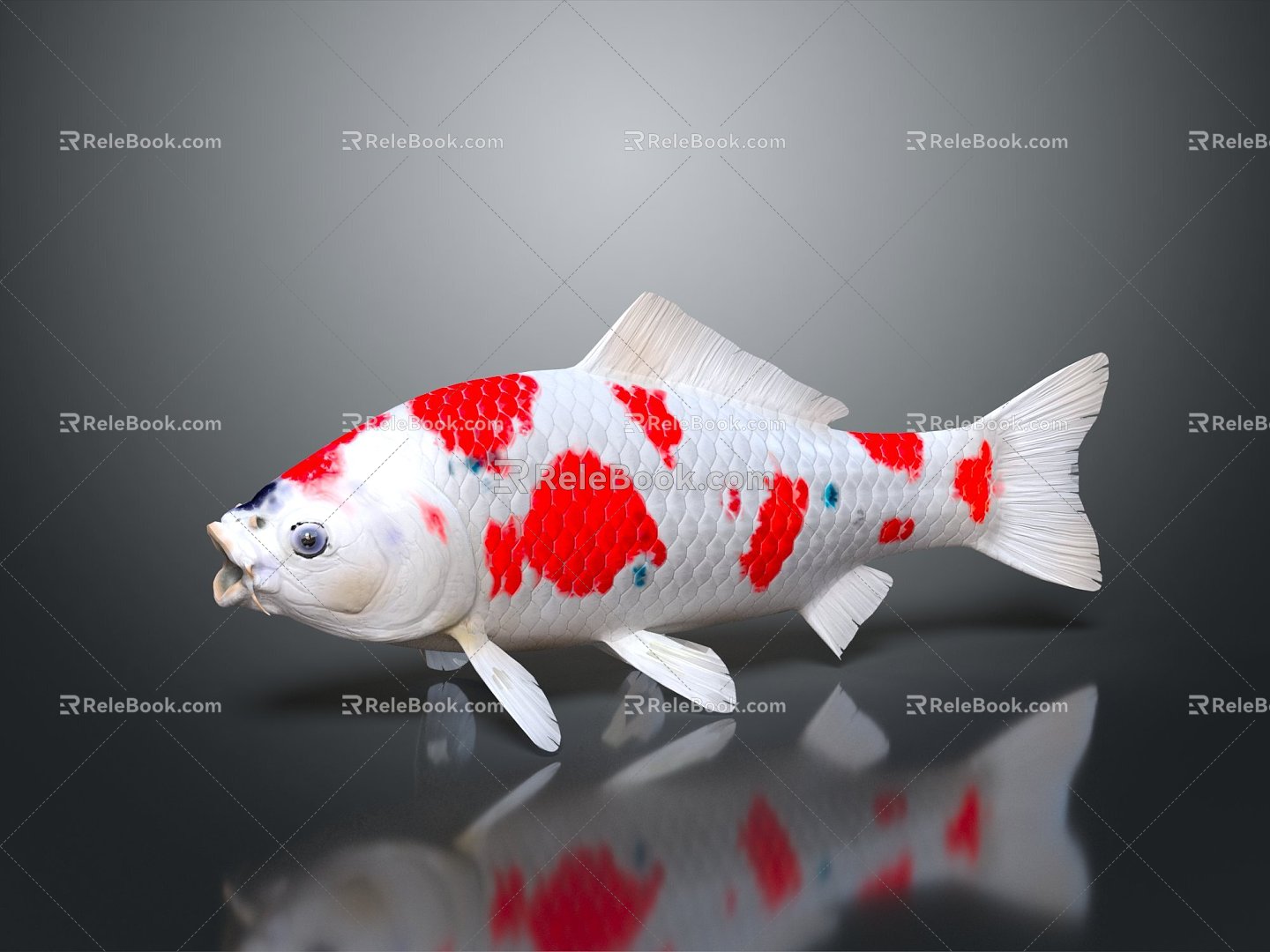 Modern Fish Cold Water Fish Koi Goldfish 3d model