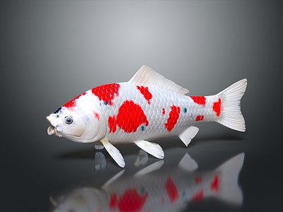 Modern Fish Cold Water Fish Koi Goldfish 3d model