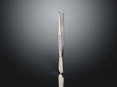 Stainless Steel Precision Tweezers With Serrated Grip And Reflective Surface 3d model