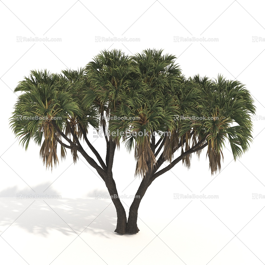 Plants Trees Big Trees Arbor 3d model