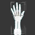 Realistic Human Hand with Wrist in White Cuff Against Black Background