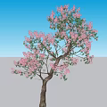 Lush Tree With Pink Flowers In Green Grassland Under Blue Sky And White Clouds