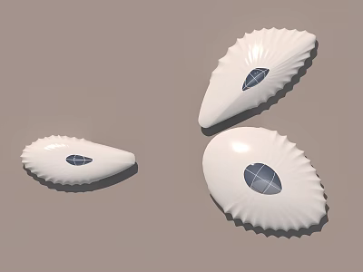 Three White Shell Shaped Decorative Objects With Scalloped Edges And Dark Centers 3d model