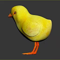 Cute Yellow Flying Animal Baby Chick With Orange Beak And Feet Standing On Black Background