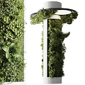 Hanging Basket Plants With Lush Green Foliage For Indoor Natural Home Decor Style