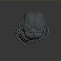 3D Rendered Beetle Insect Model Featuring Detailed Textured Surface Legs And Antennae