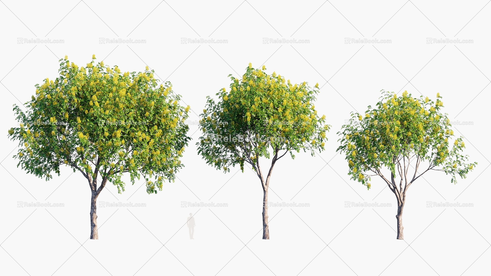 Plants Trees Arbor 3d model