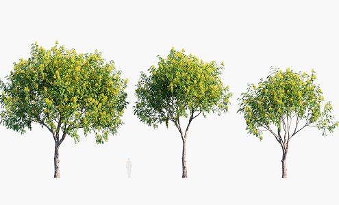 Plants Trees Arbor 3d model