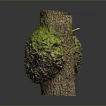 Natural Wooden Vase With Moss Covered Surface And Tree Bark Texture Design 3d model