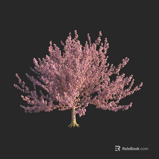 Lush Flowering Arbor With Vibrant Pink Blossoms And Graceful Branch Structure 3d model 