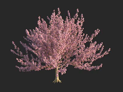 Lush Flowering Arbor With Vibrant Pink Blossoms And Graceful Branch Structure 3d model