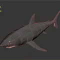 Realistic Gray Shark Model With Dorsal Fin And Open Mouth On Dark Background