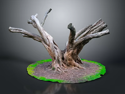 Natural Twisted Tree Roots Structure With Green Moss And Soil Base 3d model