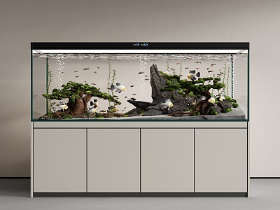 Modern fish tank aquarium model