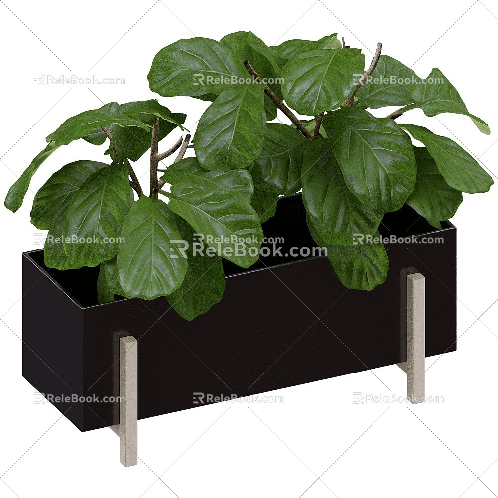 Stockholm flower box plant 3d model