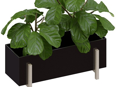 Stockholm flower box plant 3d model